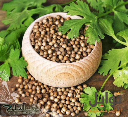 «رخيصة بس نينجا»عشبة خضراء برائحة حلوة وبسعر التراب تزيل السموم من الجسم وتمنع ارتفاع سكر الدم.. وفوائد أخرى