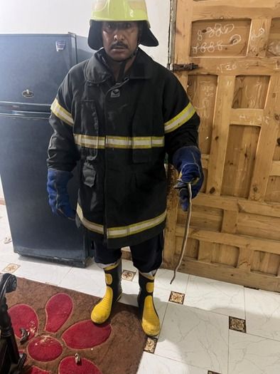 وسط إشادة الأهالي.. أمن المنوفية يسيطر على ثعبان تسلل لأحد الشقق السكنية.. (صور)