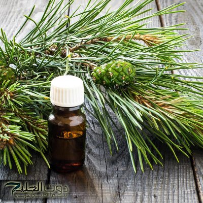 معجزة نزلت من السماء .. عشبة ربانية تسكن جميع آلام الجسم وتمنح الشعور بالهدوء والإسترخاء وتعتبر الحل الأمثل