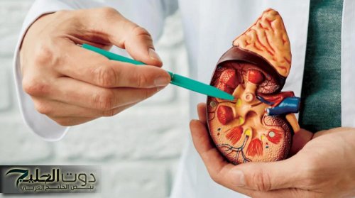 «مش كل مشروب يروي العطش آمن!».. كوب واحد بعد الفطار من هذا المشروب الشهير قد يؤذي كليتيك دون ما تحس!