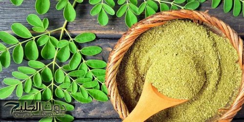 "العشبة السحرية".. تكافح التهابات الجسم وتضبط مستوى السكر في الدم ومفيدة لصحة الشعر والبشرة