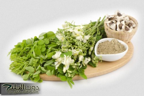 «سر من التراث العربي يغير حياتك مع السكري!».. عشبة طبيعية فعالة تضبط السكر وتحميك من المضاعفات الخطيرة