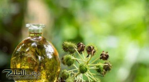 رجعي شعرك يطول بسرعة رهيبة بمكون طبيعي واحد بس هتلاقيه في كل بيت