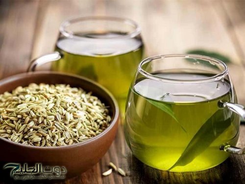 "كلة هيبقي في السليم!!..عشبة طبيعية لها خصائص مميزة لصحة المعدة..هتودع مشاكل الهضم 100%"