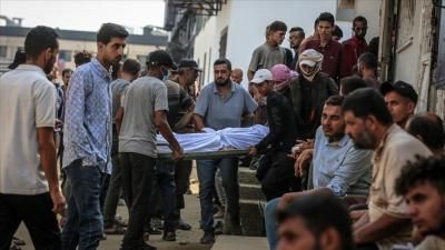 أخبار اليمن : حصيلة جديدة للشهداء والمصابين في غزة