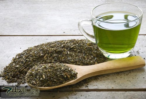 بصراحة هتتفاجئ.. 5 فوائد مذهلة لجسمك عند شرب الشاي الأخضر