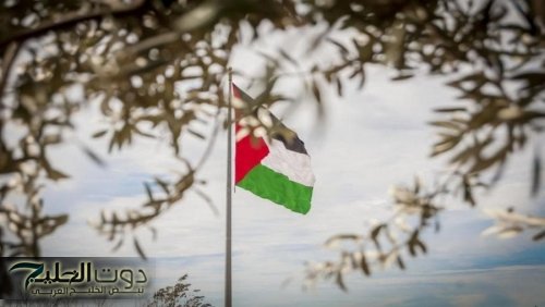 التعاون الإسلامي تبحث الاثنين العدوان الإسرائيلي على غزة