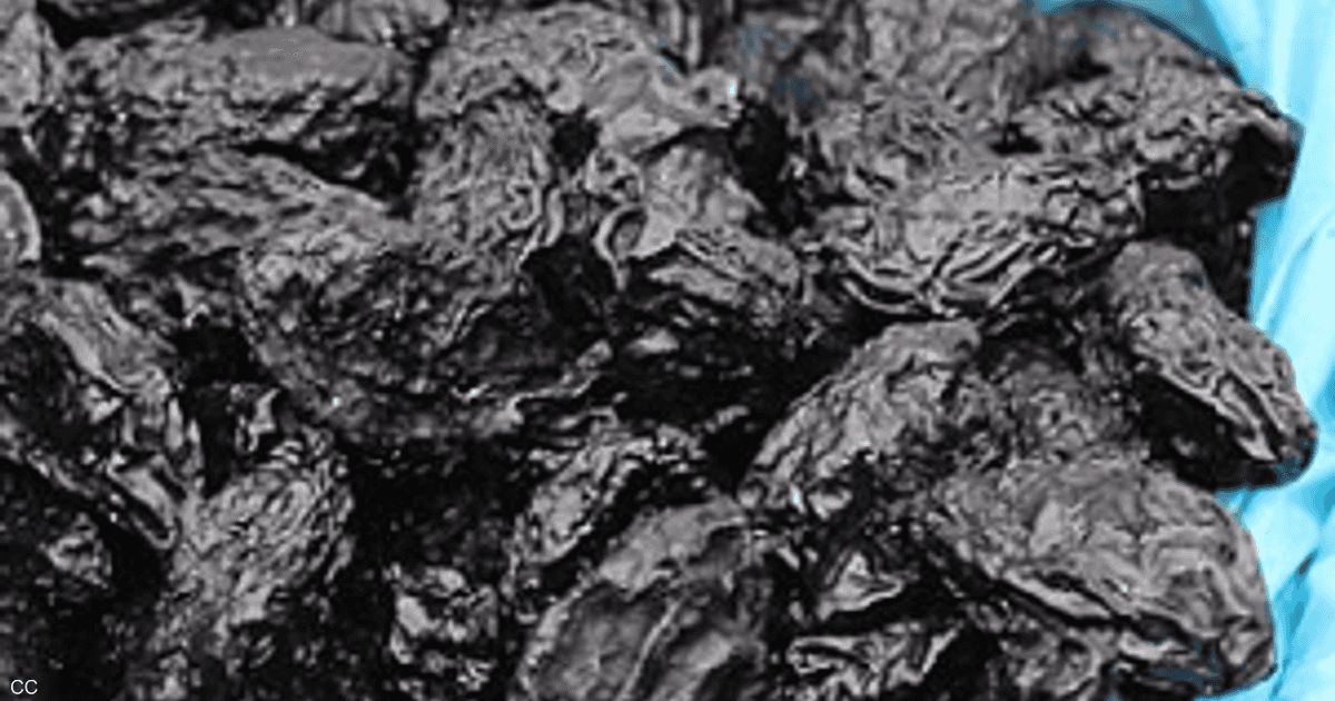 العالم اليوم - هكذا يؤثر البرقوق المجفف على القلب.. إذا تناولته يوميا