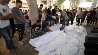 أخبار اليمن : أكثر من 220 ألف شهيد وجريح في غزة