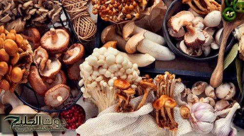 5 أطعمة نباتية تعزز فيتامين D دون مكملات