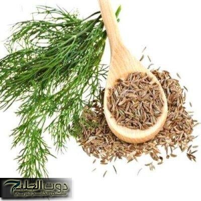 «هتخلي عودك سمباتيك».. عشبة مطبخية سحرية تزيل الكرش دون ريجيم… تعرفوا عليها لا تفوتها
