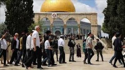 أخبار اليمن : مستوطنون يجددون اقتحام الأقصى