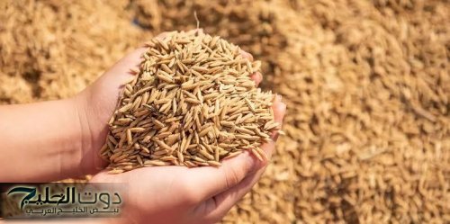 "موجودة عند العطارين" ... عشبة سحرية في مطبخك تخفض الكولسترول وتحارب السرطان والحل الأمثل