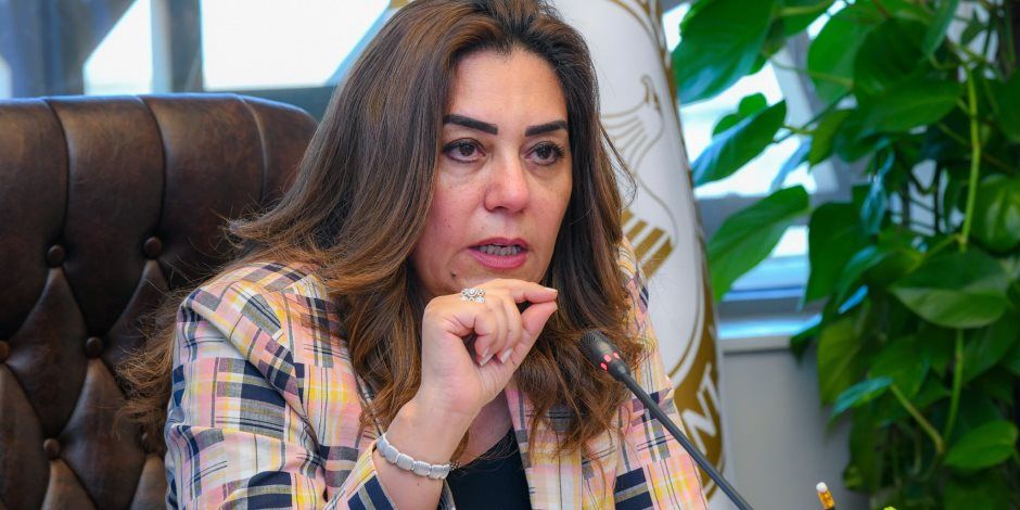 وزيرة التنمية المحلية تصدر قراراً بتنظيم صيد الطيور البرية في عدد من المحافظات المصرية