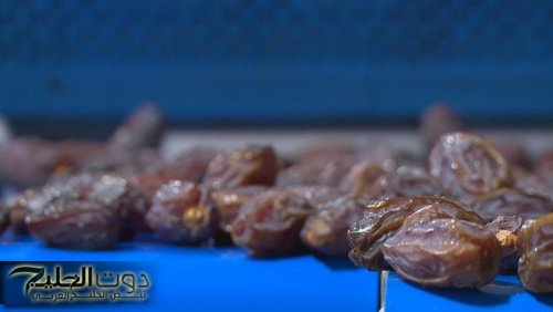 الأردن ينتج 14٪ من تمر المجهول عالميًا
