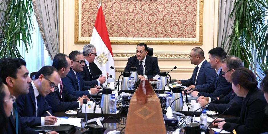 مدبولي لشركة صينية: مهتمين بتوطين صناعة مكونات محطات الطاقة الشمسية في مصر