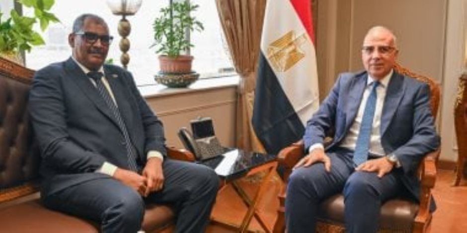 وزيرا الرى المصرى والسودانى: الحفاظ على مسار مبادرة حوض النيل