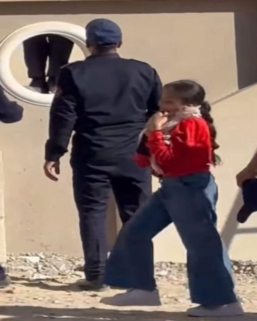 الأمن ينقذ قطة محتجزة بأحد العقارات في المنيا الجديدة