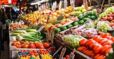 استقرار أسعار الغذاء العالمية