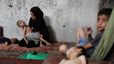 ارتفاع عدد شهداء التجويع بغزة إلى 393