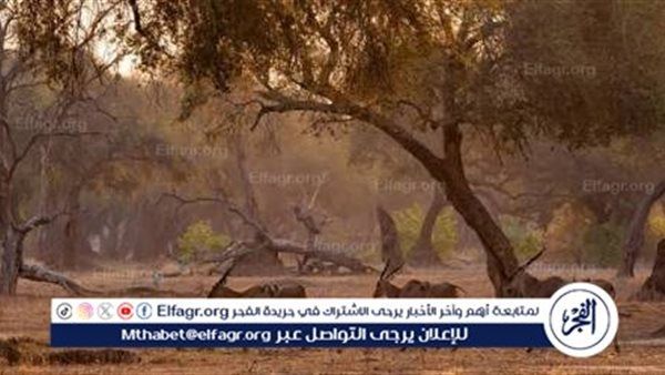 هيئة تطوير محمية الإمام عبدالعزيز بن محمد الملكية تنتج فيلمًا وثائقيًا يكشف أسرار "جبل العرمة"