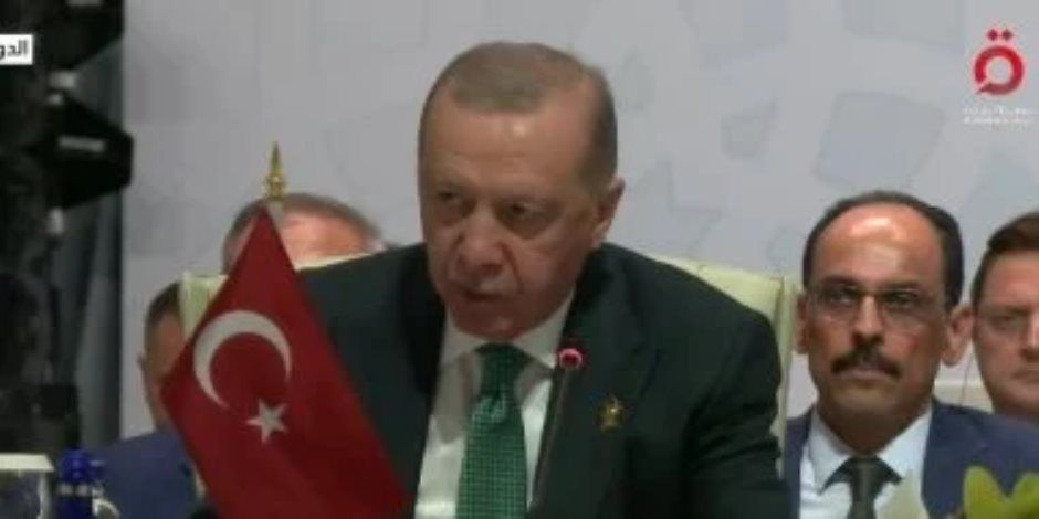 أردوغان: يجب ردع إسرائيل بتكثيف وتيرة العقوبات عليها تحت سقف القانون الدولي