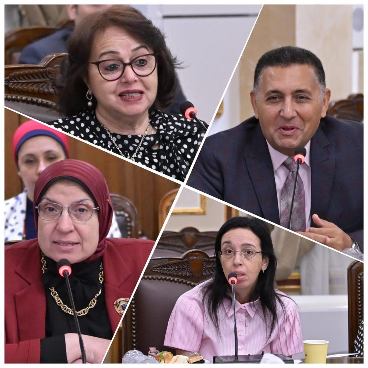 رئيس جامعة القاهرة يلتقى وفد لجنة الثقافة والتعليم والاتصال والرياضة بمجلس الشيوخ الفرنسى.