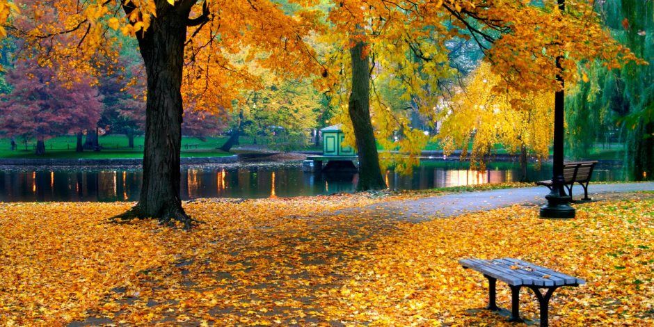 96 ساعة تفصلنا على انتهاء فصل الصيف ودخول فصل الخريف