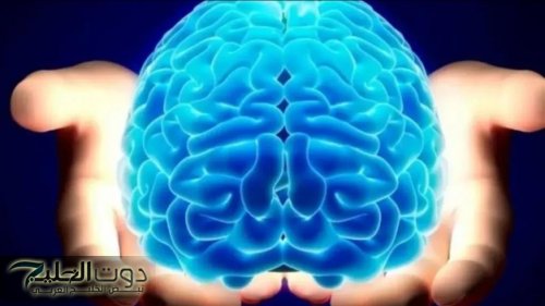 “معجزة هبطت من السماء”..تمرين لو فعلته ثلاث مرات قبل النوم يحميك من الخرف والزهايمر ويجعل ذاكرتك حديد!!