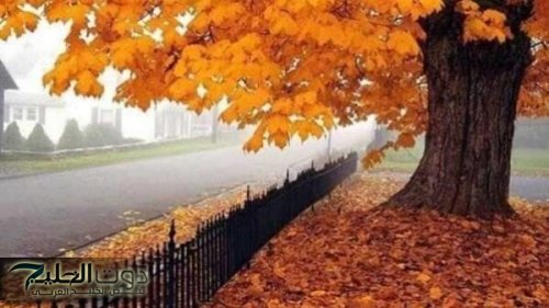 الاعتدال الخريفي يعلن نهاية الصيف وبداية فصل جديد غداً