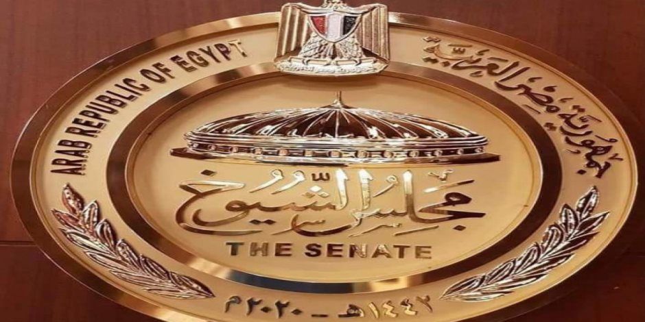 النائب هشام الحسيني ربيع: دعم الزراعة والصناعة على رأس أولوياتي بمجلس الشيوخ