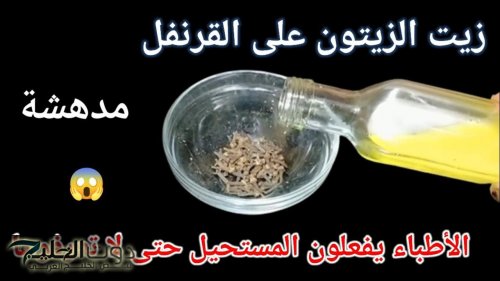 «لو جوزك سابك تبقي بحق».. اخلطي زيت الزيتون على القرنفل وتخلصي من أكبر مشكلة تواجه الستات في جميع المراحل
