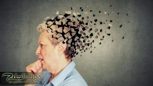 “الذاكرة هتبقي حديد”.. مسن كبير يكشف عن حل عبقري للتخلص من النسيان وزيادة نسبة التركيز والوصول إلى مرحلة