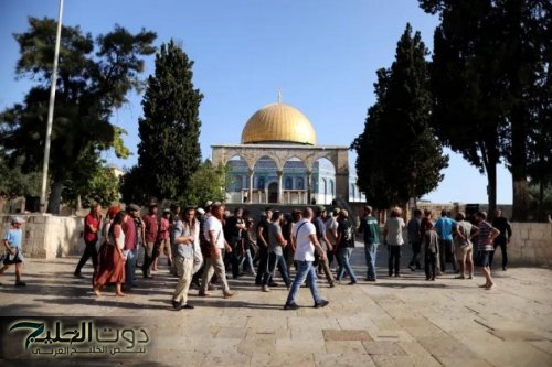 عشرات المستوطنين يقتحمون باحات المسجد الأقصى