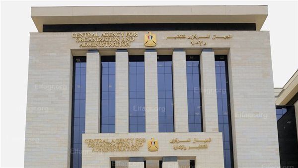 عاجل- رئيس التنظيم والإدارة: تطوير الموارد البشرية وتحديث الملف الوظيفي لدعم الأداء المؤسسي وبناء جهاز إداري عصري