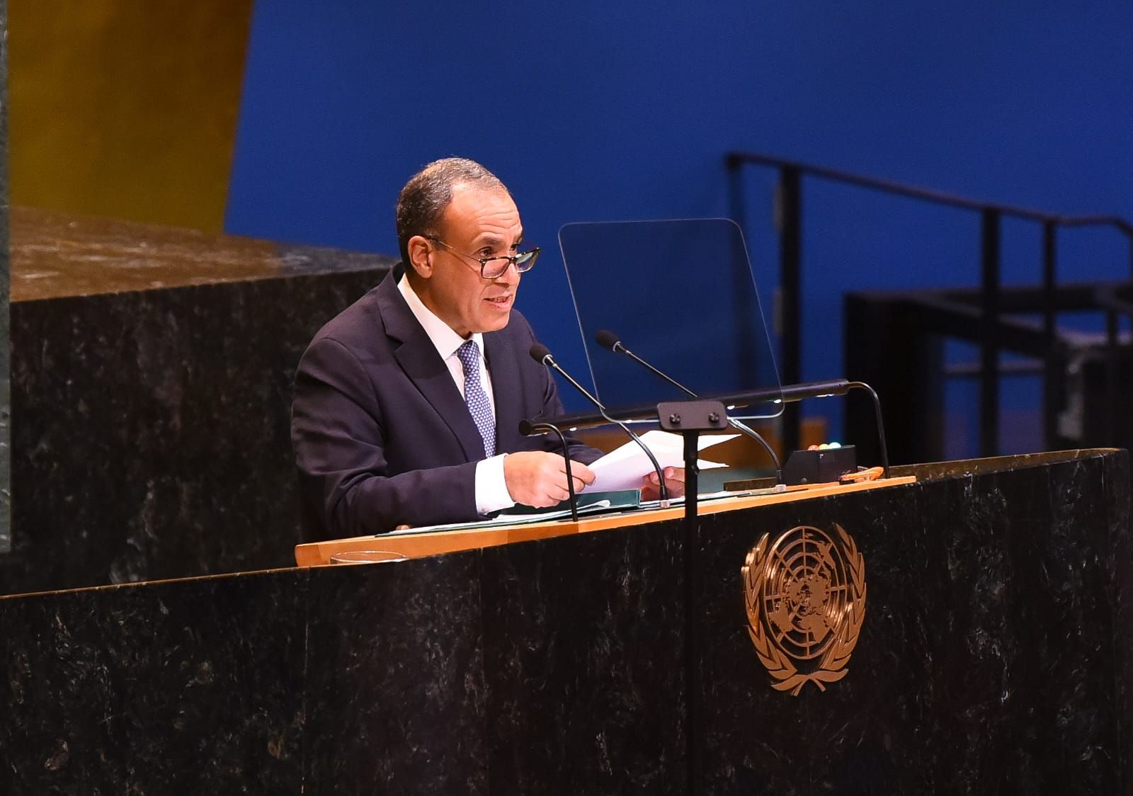 وزير الخارجية أمام الأمم المتحدة: مصر لم ولن تكون بوابة لتهجير الفلسطينيين والشرق الأوسط على شفير الانفجار (فيديو)