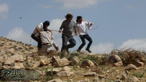 مستوطنون يعتدون على فلسطينيين في تجمع الحمة بالأغوار الشمالية