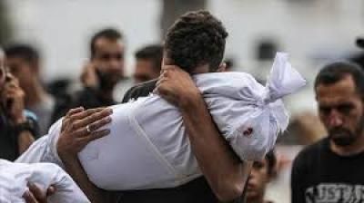 أخبار اليمن : عدد الشهداء في غزة يتخطى 66 ألف