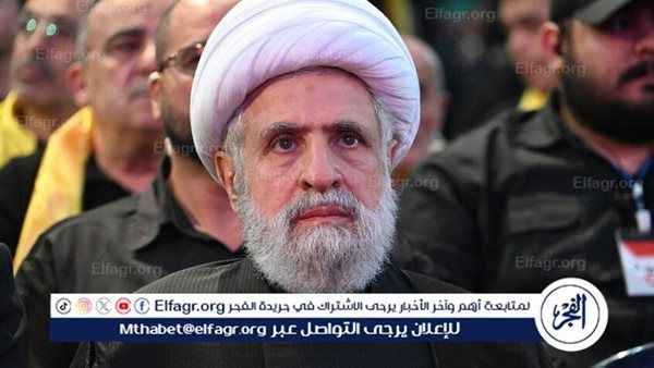 ‏نعيم قاسم: حزب الله منفتح على التعاون مع كل من يواجه إسرائيل