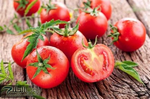 طهي الطماطم بهذه الطريقة أفضل 4 مرات من تناولها «نية».. خبيرة تغذية توضح