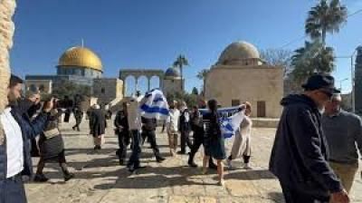 أخبار اليمن : مستوطنون يقتحمون المسجد الأقصى