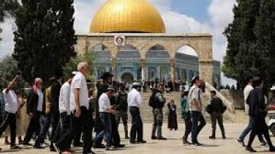 أخبار اليمن : 489 مستوطن صهيوني يقتحمون المسجد الأقصى