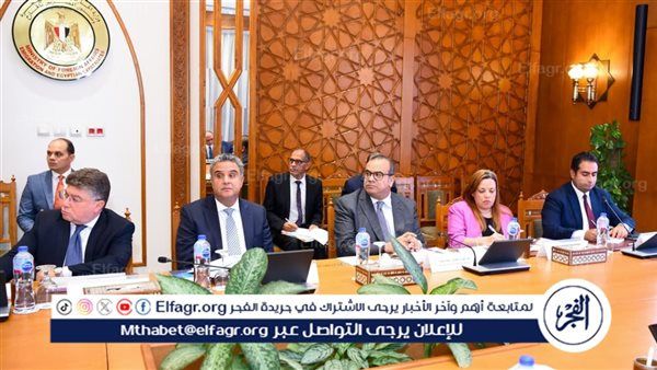 وزير الخارجية يترأس اجتماع مجلس إدارة الوكالة المصرية للشراكة من أجل التنمية