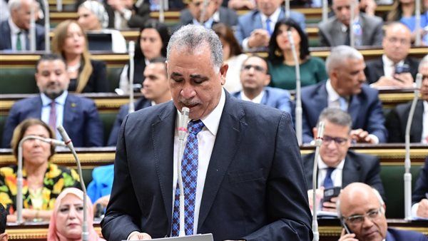 نقيب المحامين أمام البرلمان: رؤية الرئيس في إعادة مشروع قانون الإجراءات الجنائية تؤكد الحرص على الحريات وضمانات المحاكمة العادلة