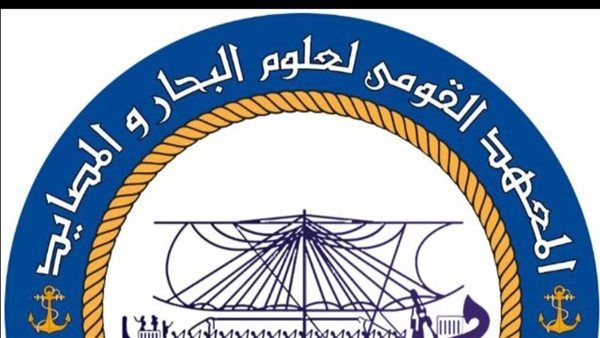 علوم البحار يوضح سبب انحسار مياه الإسكندرية وظهور شاطئ رملي