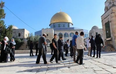 أخبار اليمن : عشرات المستوطنين يقتحمون الأقصى
