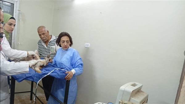 تطعيم وتعقيم الكلاب الحرة حفاظًا على الصحة العامة والتوازن البيئي بالجيزة