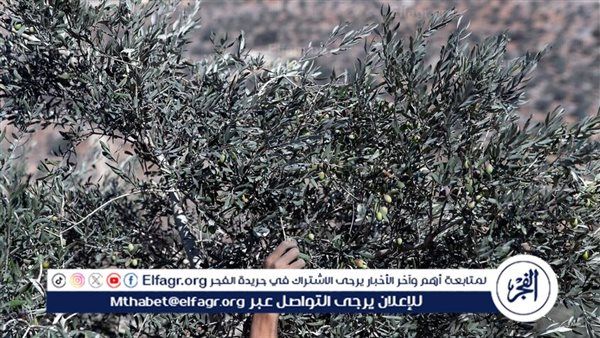 إسرائيل تضع شروطًا على أبناء قرى لبنان الجنوبية الحدودية
