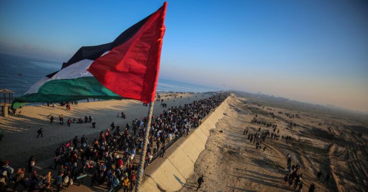 غزة تحتفل بوقف إطلاق النار.. هتافات شكر لمصر والسيسي والجيش المصري