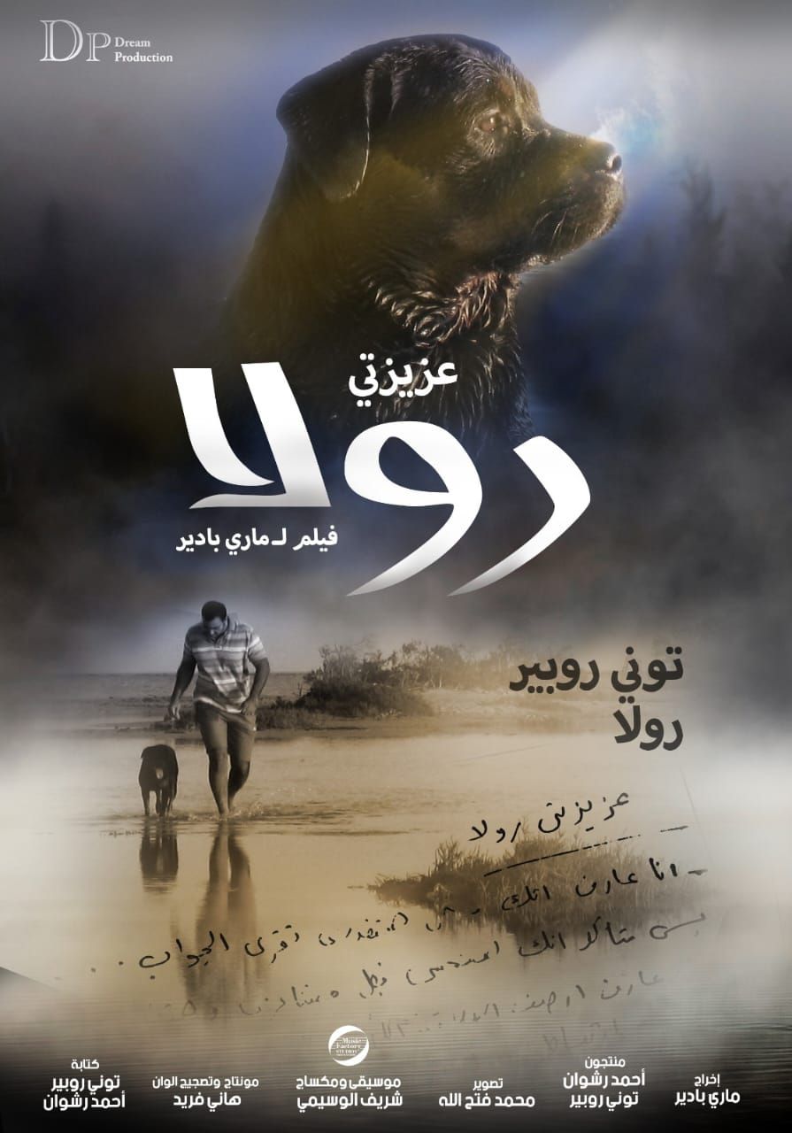 غدًا.. عرض أفلام مهرجان بردية السينمائي في ضيافة المركز القومي للسينما بالهناجر